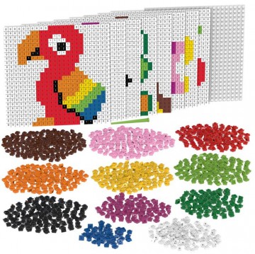 Biobuddi pixel and create startset 1